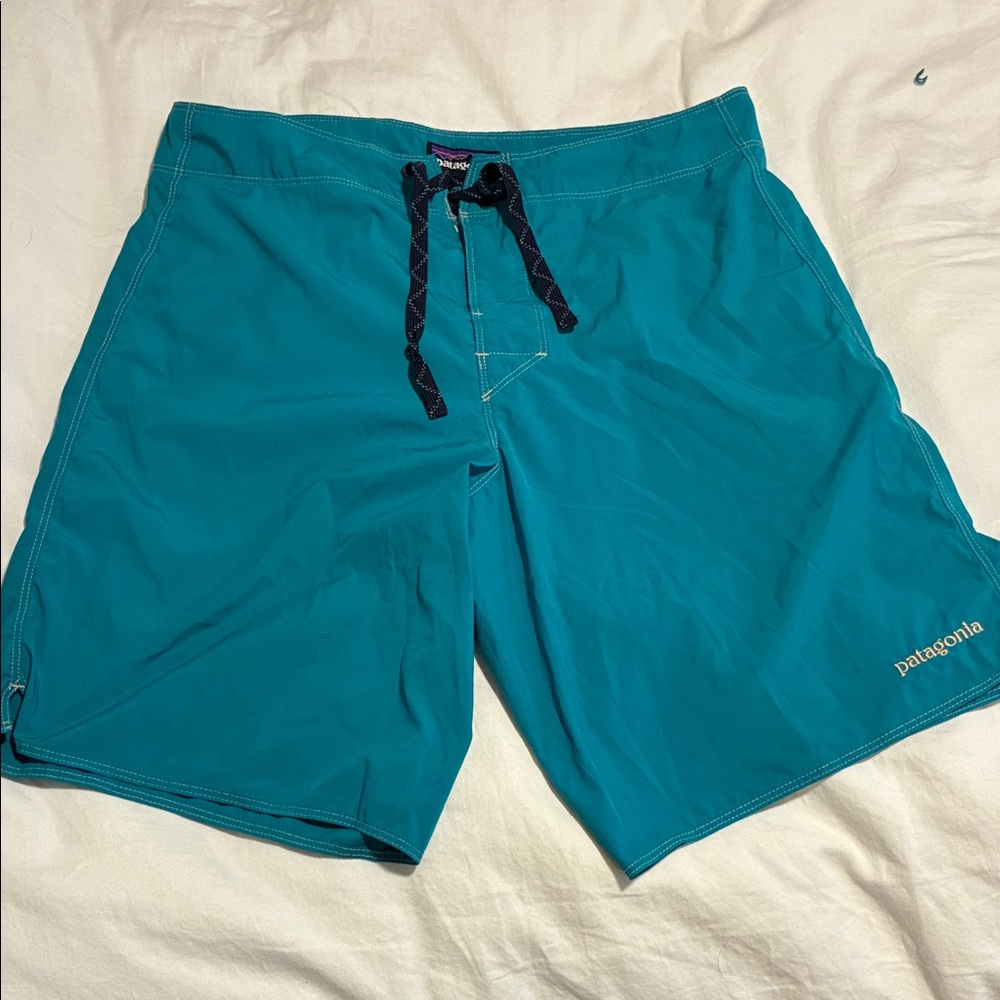 Patagonia Men's Teal Board Shorts